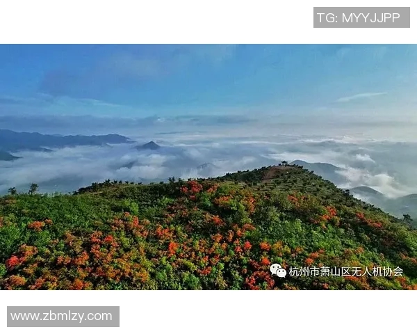 广西姚明忠：探索篮球梦想与乡村振兴的完美结合之路