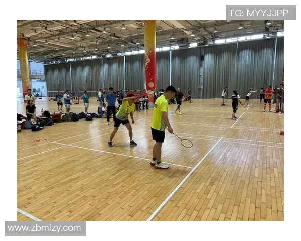 深圳羽毛球队在杯赛中的技术表现分析与总结 深圳羽毛球队在杯赛中的技术表现分析与总结